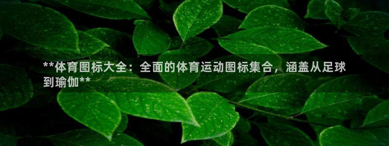 星欧娱乐24小时客服电话