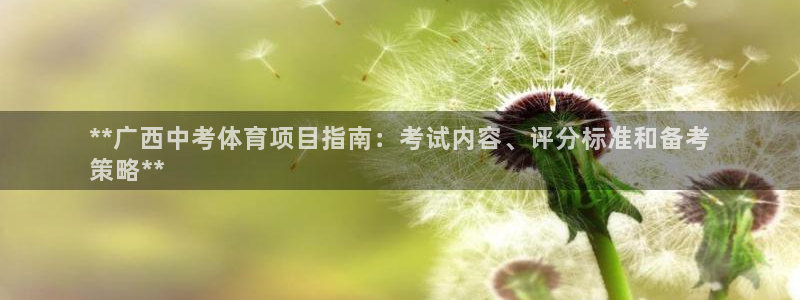 星欧娱乐公司创始人背景故事